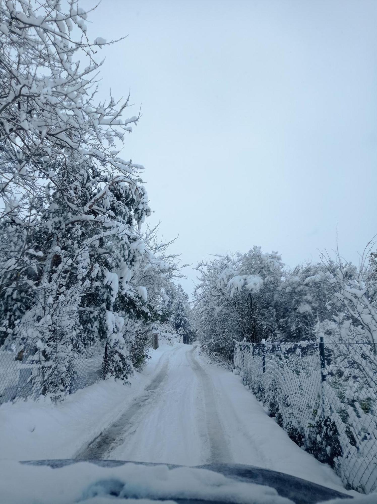 Sweet Home Prichovice  Εξωτερικό φωτογραφία